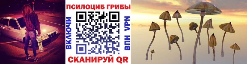 Псилоцибиновые грибы Psilocybine cubensis  Дербент 