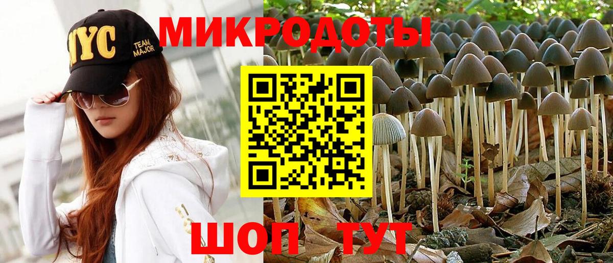 Дербент  Псилоцибиновые грибы Psilocybine cubensis  Вход с VPN 
