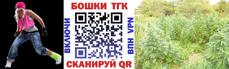 Конопля индика  Дербент 